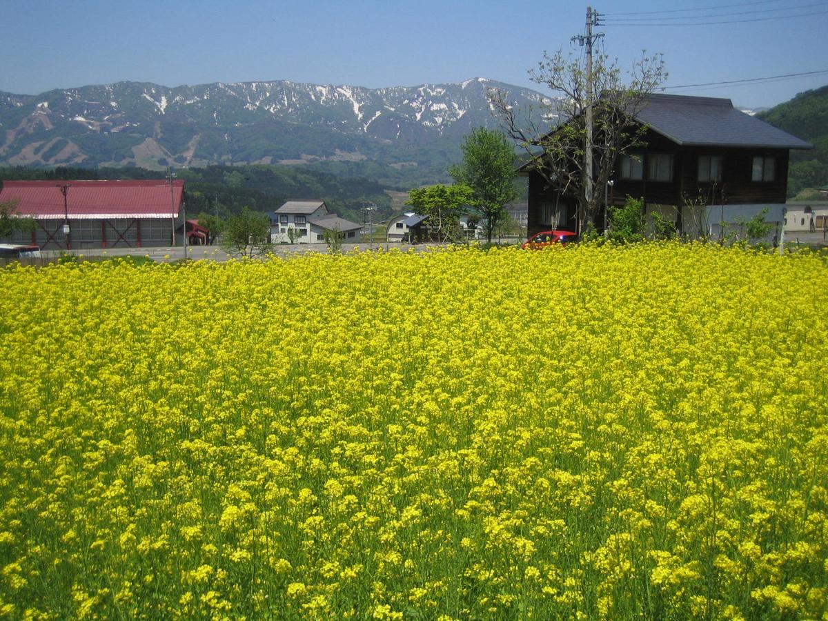 Inaka No Yado Sawa Hotel โนซาวะออนเซ็น ภายนอก รูปภาพ